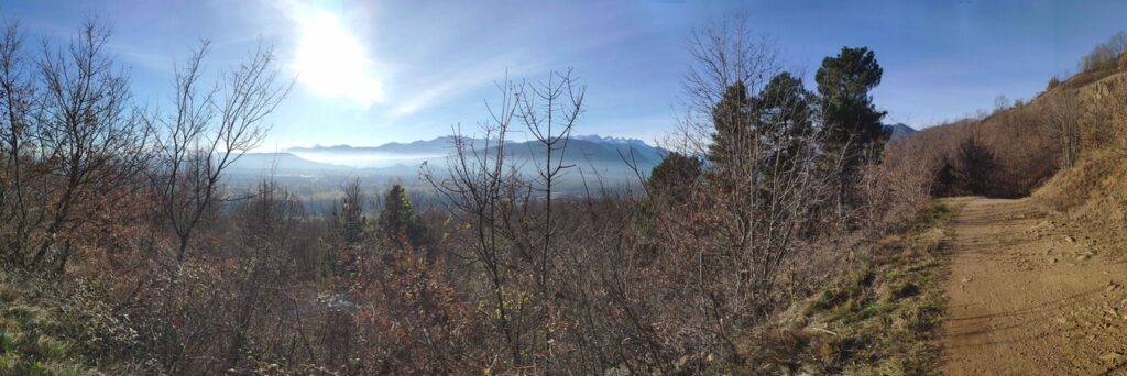 San Bernardino-Tagliafuoco con Daniela (MTB)