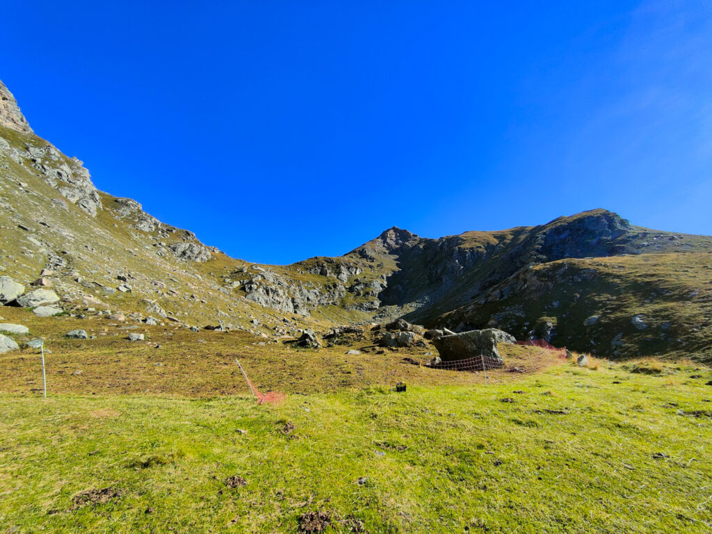 Colletto dell'Orsiera dal rifugio Selleries (Escursione) (Val Chisone)